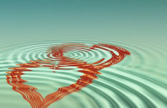 Vanguards Casino Supporto